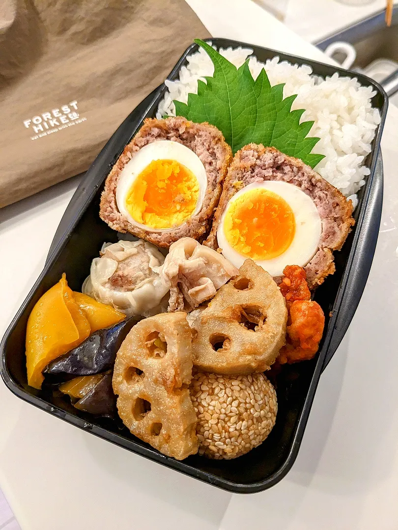 Snapdishの料理写真:スコッチエッグ弁当|きゅーさん