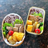 姉妹のお弁当 #551 #232