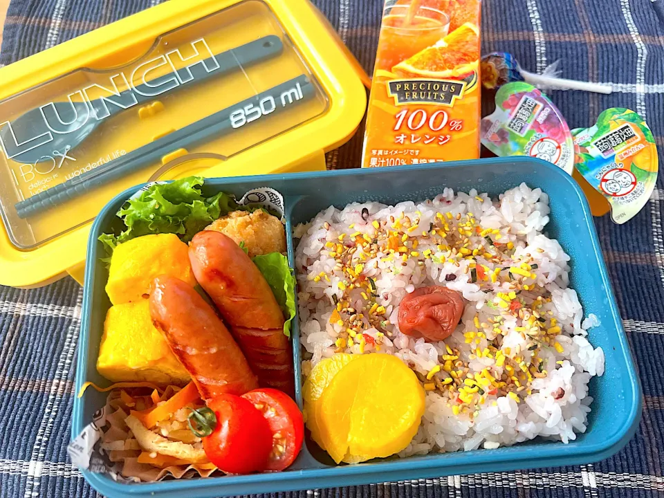 Snapdishの料理写真:今日のヤツのお弁当（R5.6.7）|え〜かさん