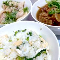 具だくさん味噌汁とハラス大根菜飯と鶏皮レモン