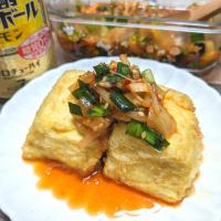 揚げ出し豆腐
新たまニラもや病みつきダレ