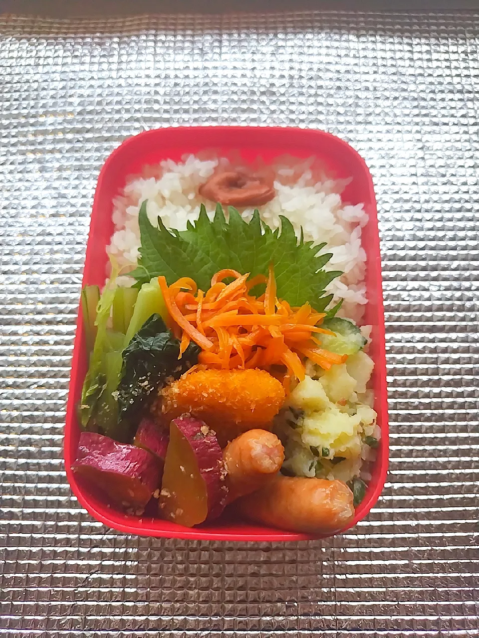 Snapdishの料理写真:わたしの残り物弁当🎵 2023.6.9|mayumiさん