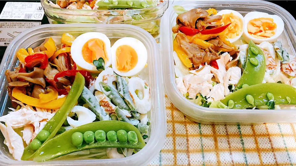 6/9のサラダ弁当🥗|ゆうかさんさん