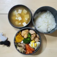 Snapdishの料理写真:お弁当(昼)|しんすけ=🐱の下僕さん