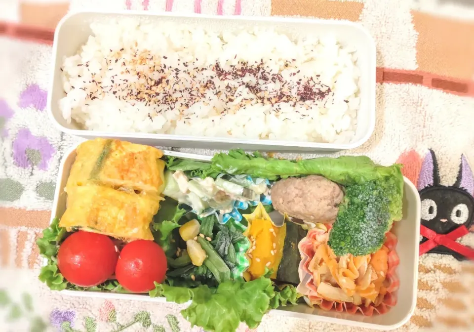 6月10日 今日のお弁当|ビアンカさん