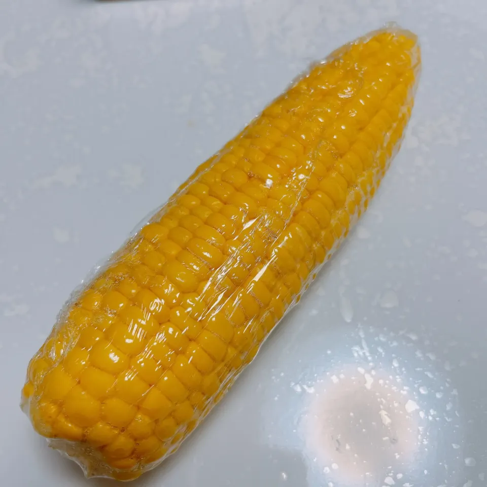 とうもろこし🌽|まめさん