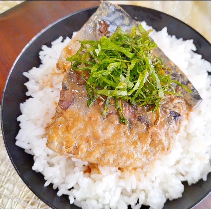 Snapdishの料理写真:✳️鯖の味噌煮丼✳️|ayaさん