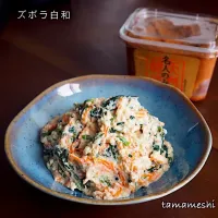 Snapdishの料理写真:ズボラ白和|tamaさん