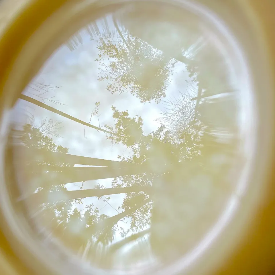 Snapdishの料理写真:今年の満月の竹水🎋空とその先にある宇宙を映し、口を付けて飲み干しました🤭|美味飯さん