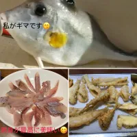 Snapdishの料理写真:刺身とフライ|イチローさん