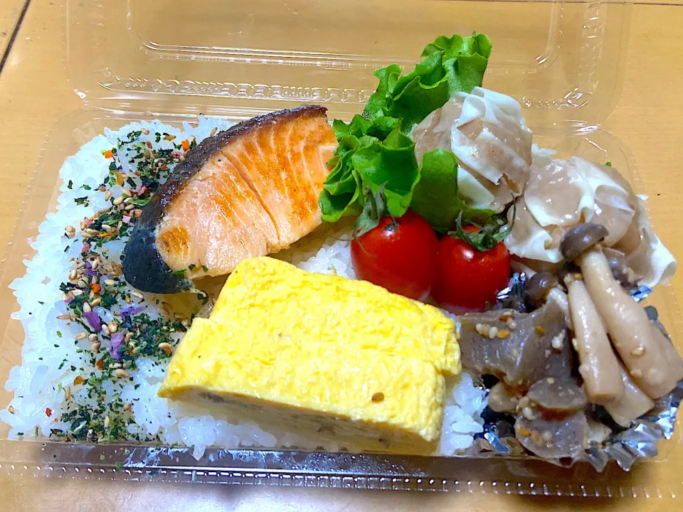 今日のお弁当🍱|サチ😊さん