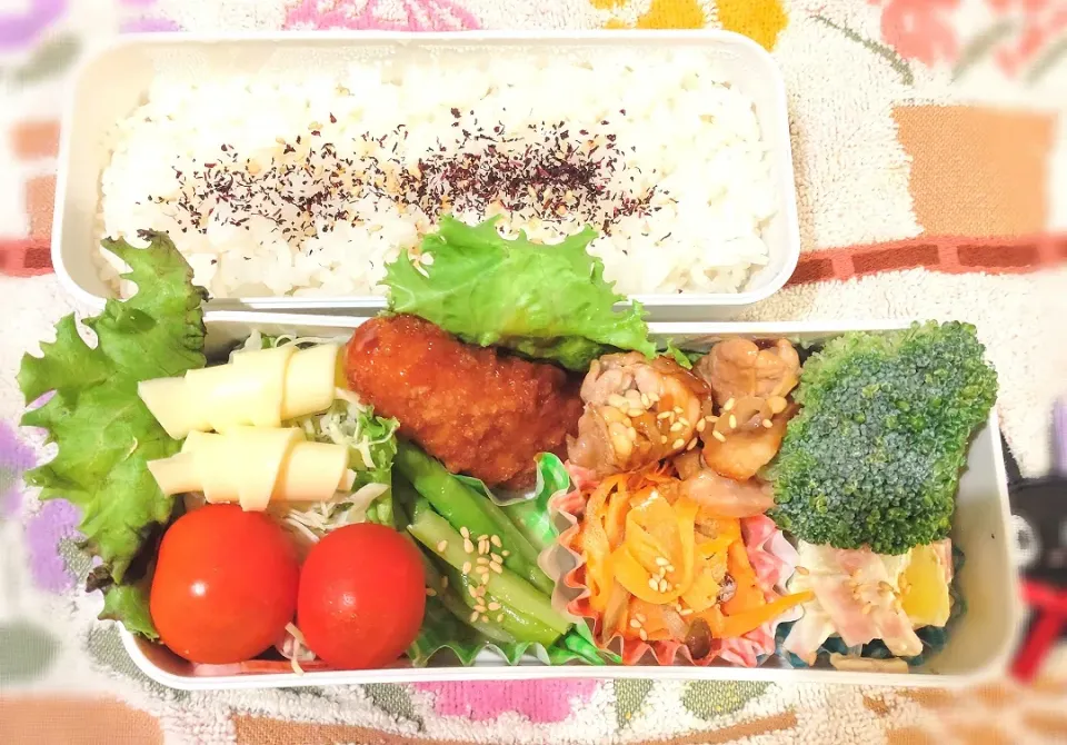 6月13日 今日のお弁当|ビアンカさん