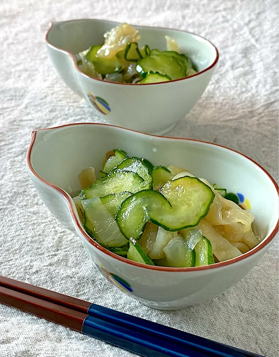 クラゲと胡瓜の酢の物|かっちゃん杉さん