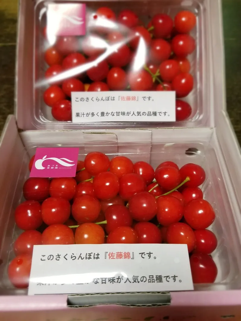 今年も届きました🍒さくらんぼ|ぱんだのままんさん