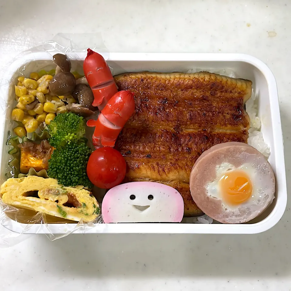 2023年6月15日　オレ弁当♪|クッキングおやぢさん