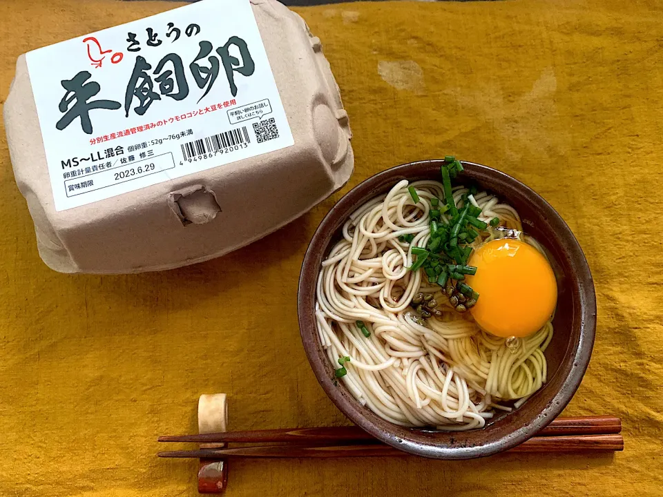 白石温麺　さとうの平飼卵　実山椒のかえし醤油漬け
#今日の卵　#平飼い卵　#素麺　#白石温素麺　#そうめん|KimaLABOさん