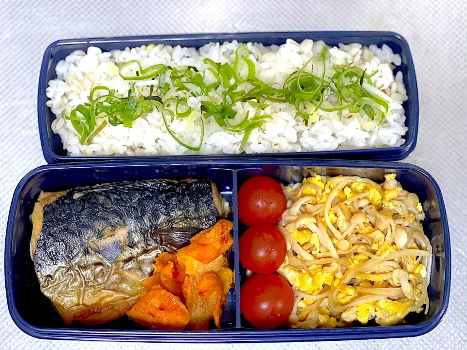 Grilled Saba & eggs Enoki  scrambled bento|yeni kartikasariさん