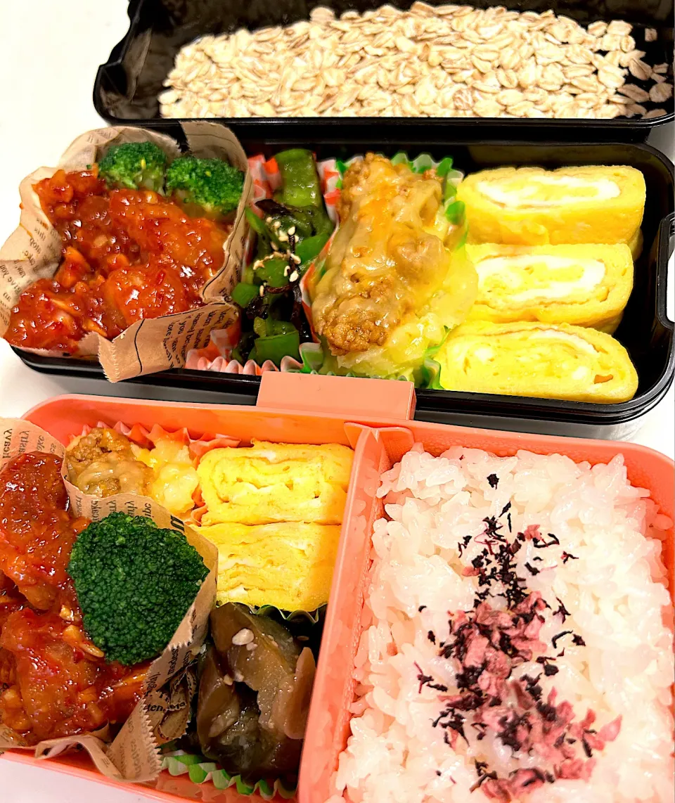 父と娘の一品違うお弁当🍱|だまさん