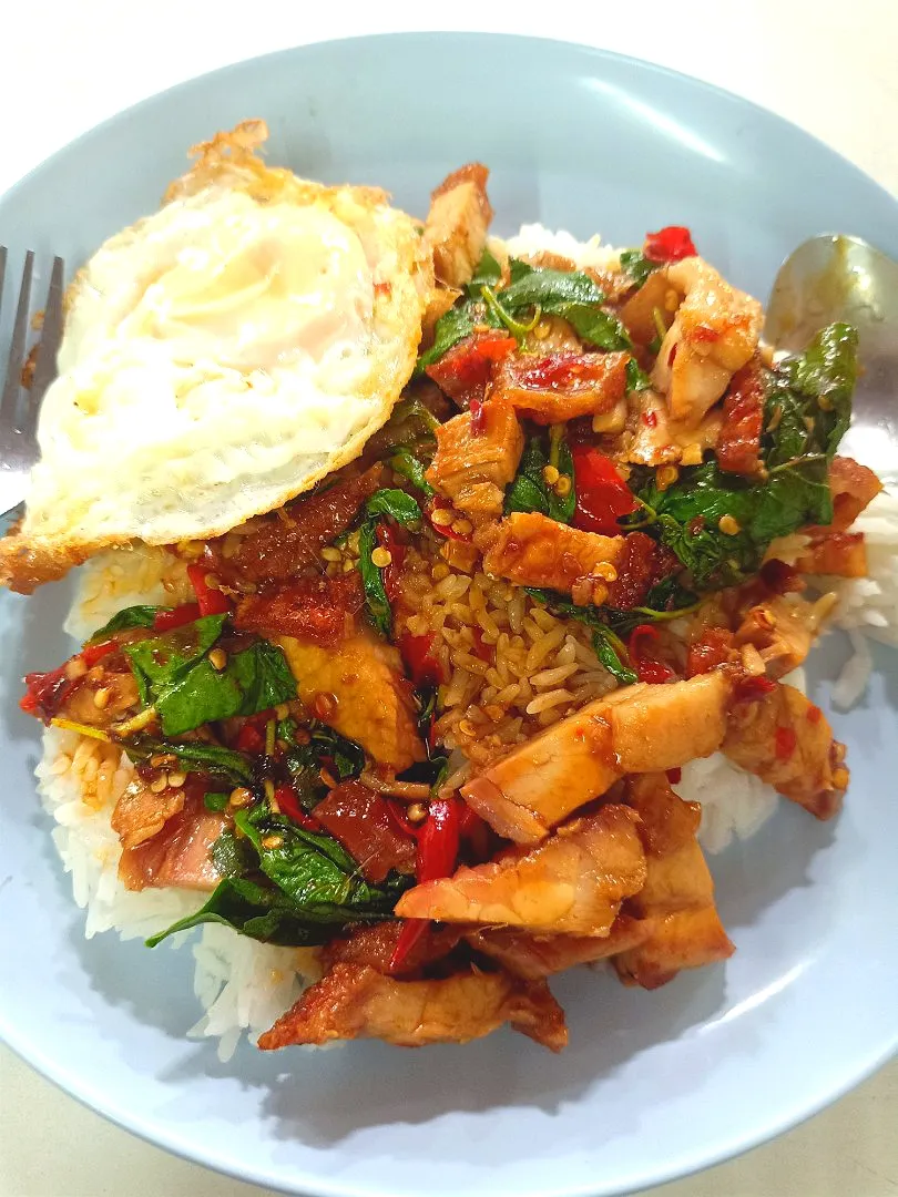 Gaprao Moo Krob + Kai Dao (กะเพราหมูกรอบไข่ดาว) 🐷🍳🌶️🌶️|An'leeさん
