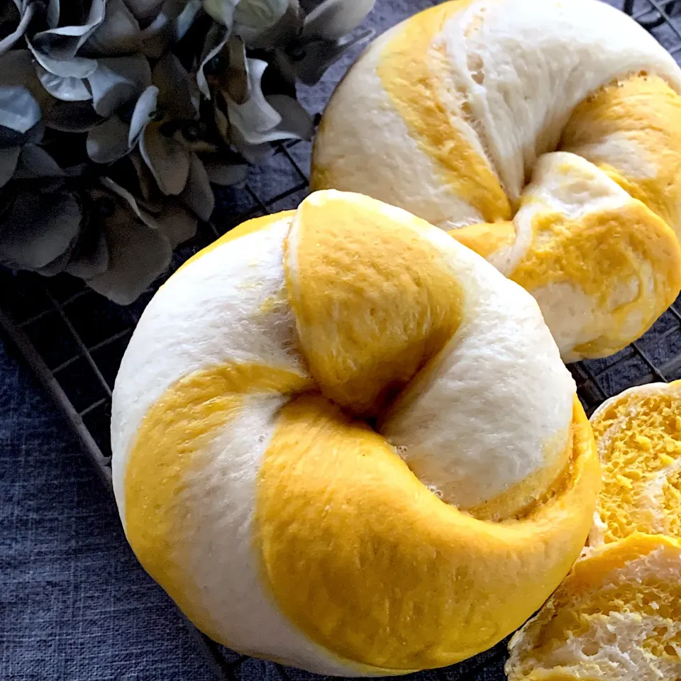 🎃かぼちゃのしましまベーグル🥯|ユッキーさん