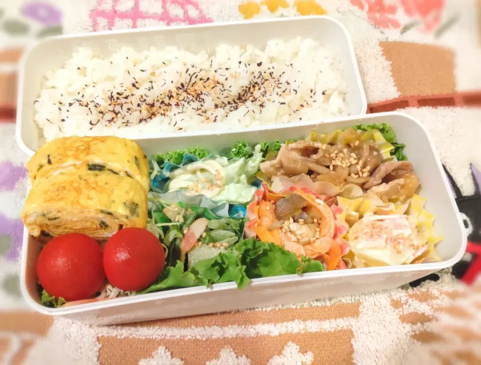 6月16日 今日のお弁当|ビアンカさん