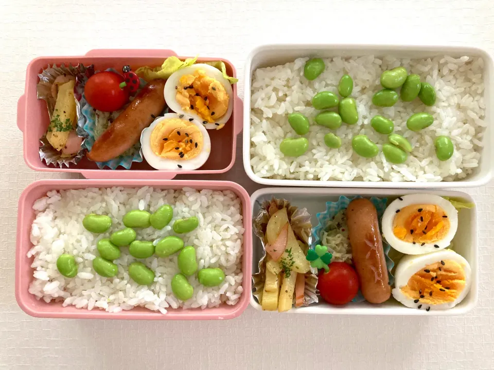 本日のお弁当🍱|花🍀さん