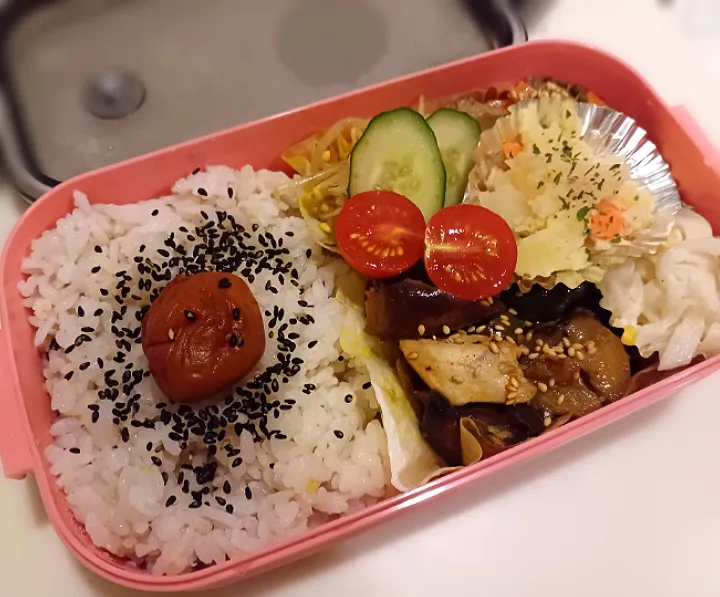 お弁当🍱|ティガさん