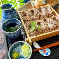 普通のそばで新潟の郷土料理へぎそば風　😋