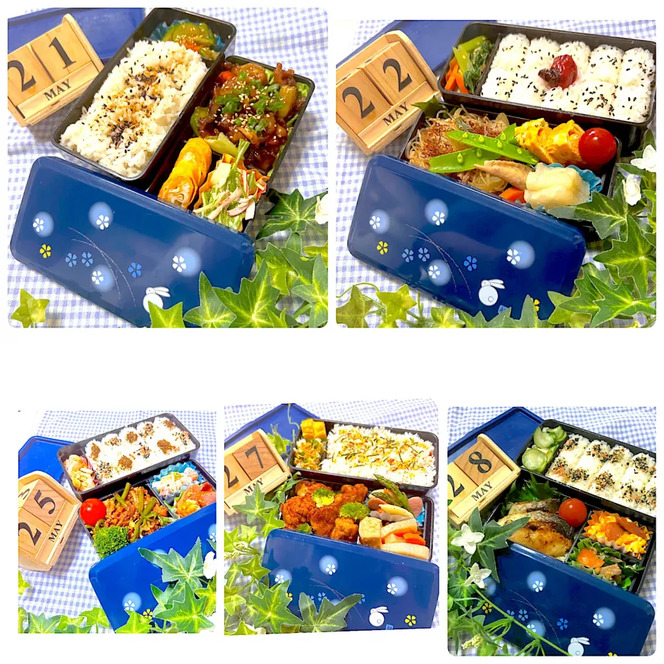 先日から旦那弁当🍱|ぷーはるひゅうさん