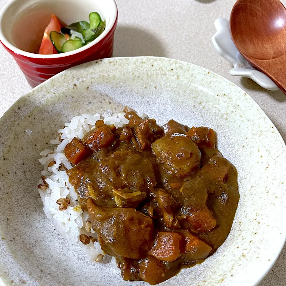 230617朝昼ごはん|mioさん