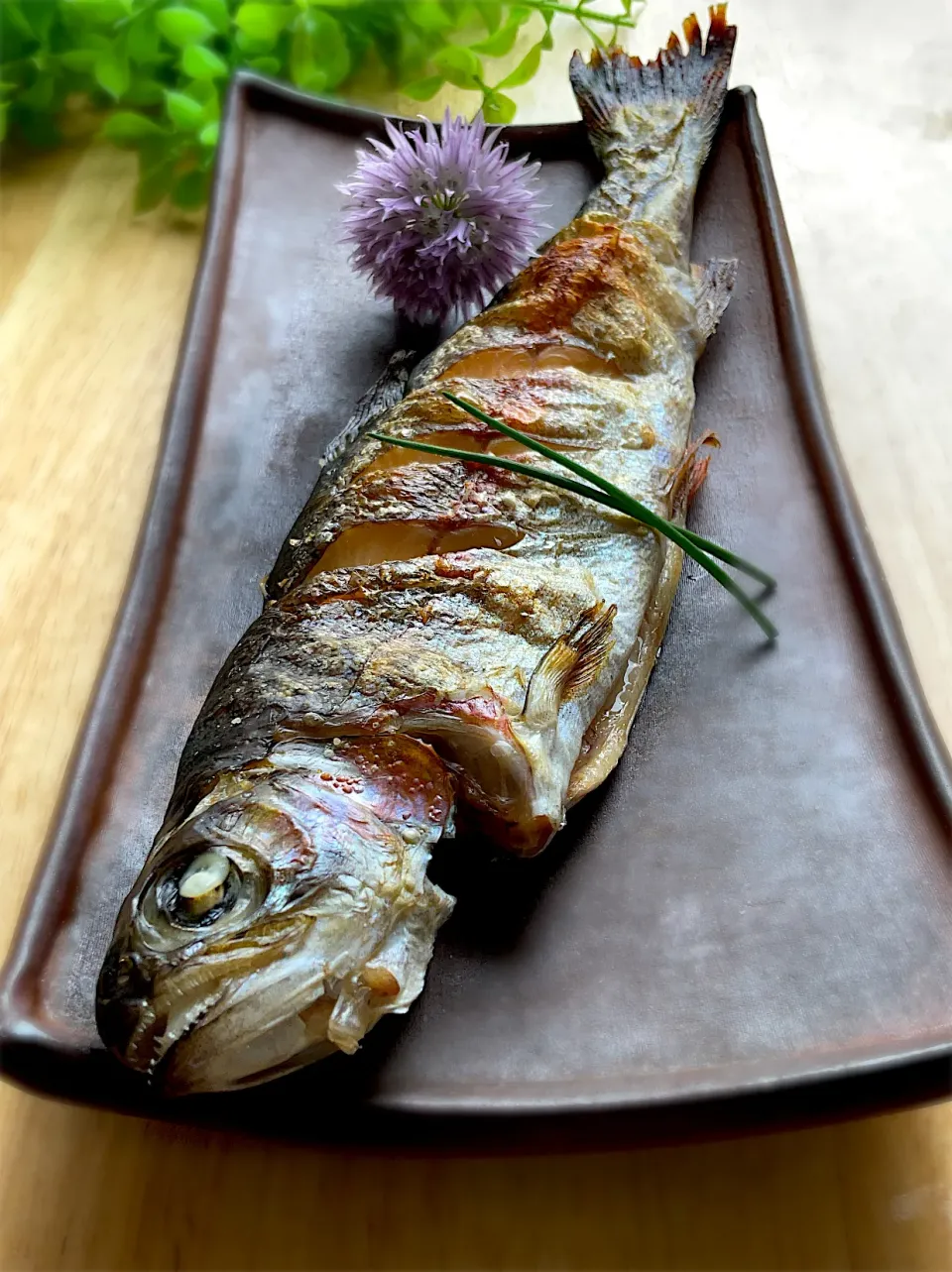 釣り魚🎣孫ちゃんが釣ったニジマスでニジマスの塩焼き|9421beruさん