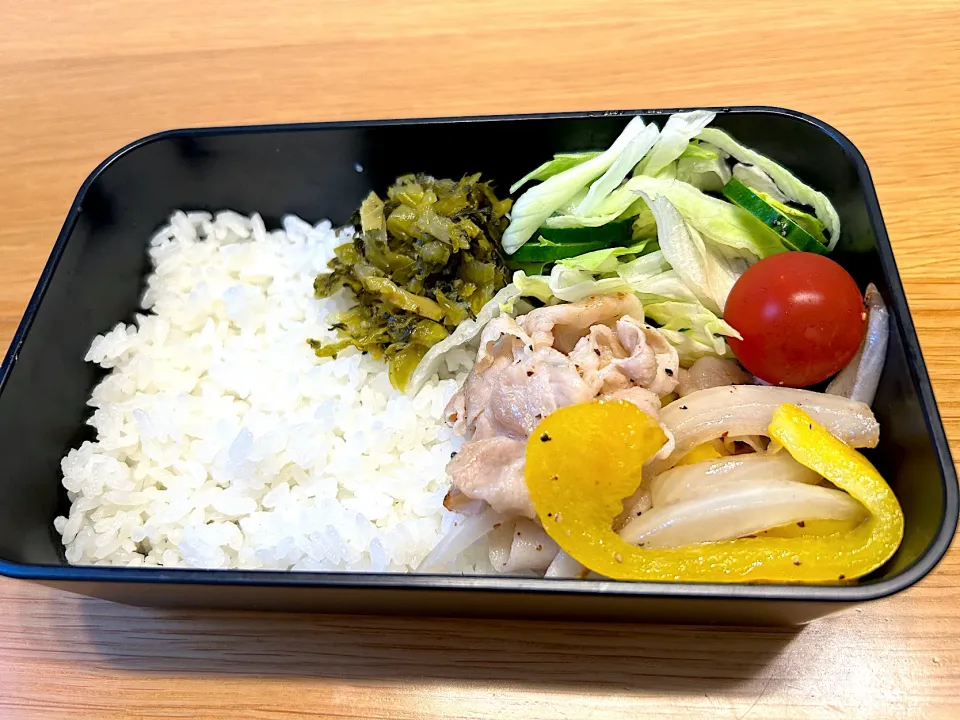 6月19日息子のお弁当|かおりさん