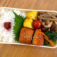 Snapdishの料理写真:⭐️高一娘の毎日弁当18⭐️|きなたまさん