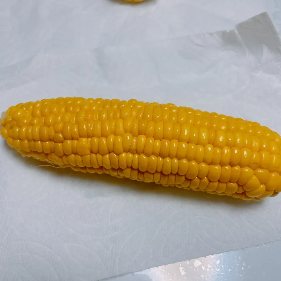 とうもろこし🌽|まめさん