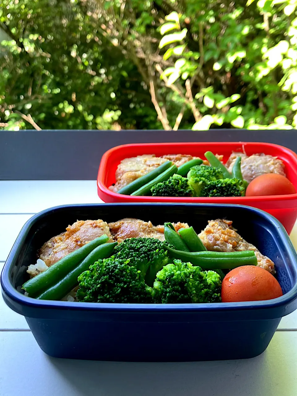 シンプルなお弁当|マロンさん