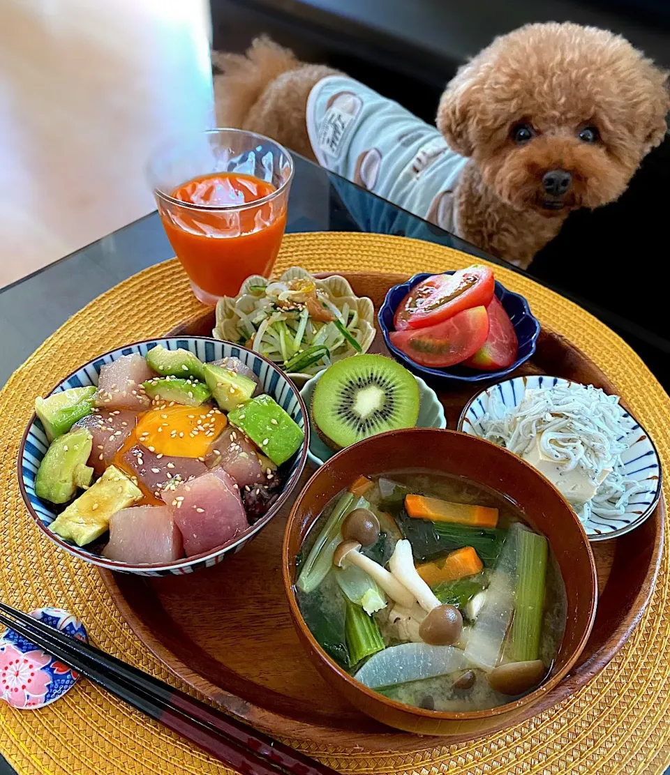 ゆかりさんの料理 和んプレートランチ🍴|ゆかりさん