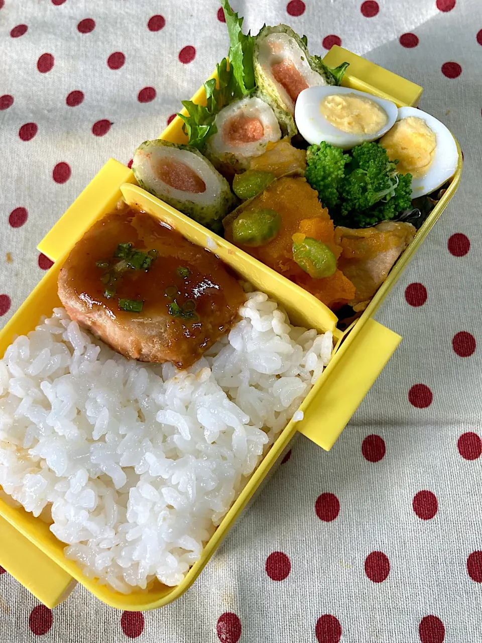 Snapdishの料理写真:6月20日 娘のみの お弁当🍱|sakuramochiさん