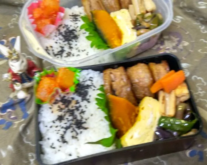 '23．6/20
本日のお弁当🍱|たえさん