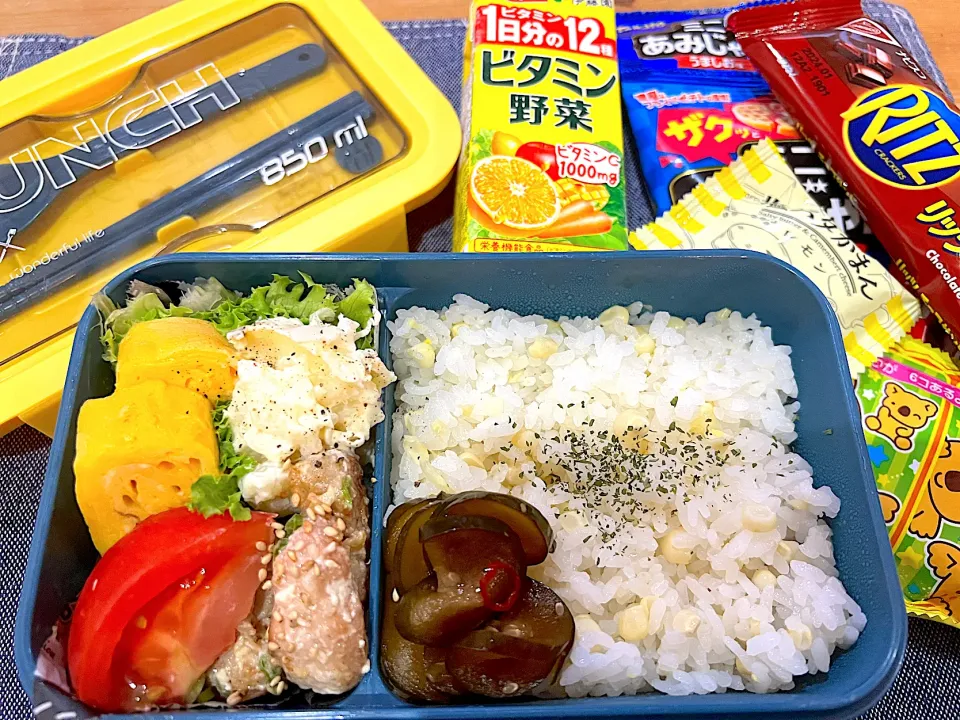 今日のヤツのお弁当（R5.6.21）|え〜かさん