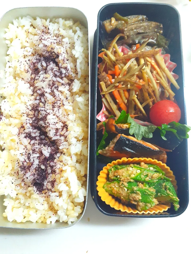 Snapdishの料理写真:☆中学生弁当☆玄米入りゆかりごはん、茄子とピーマン味噌炒め、金平牛蒡、ミニトマト、鮭香味焼き、オクラ胡麻和え|ｼｮｺﾗさん