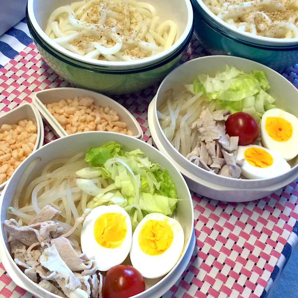 娘たちのJK弁当〜　昨日のサラダうどん|yukoさん