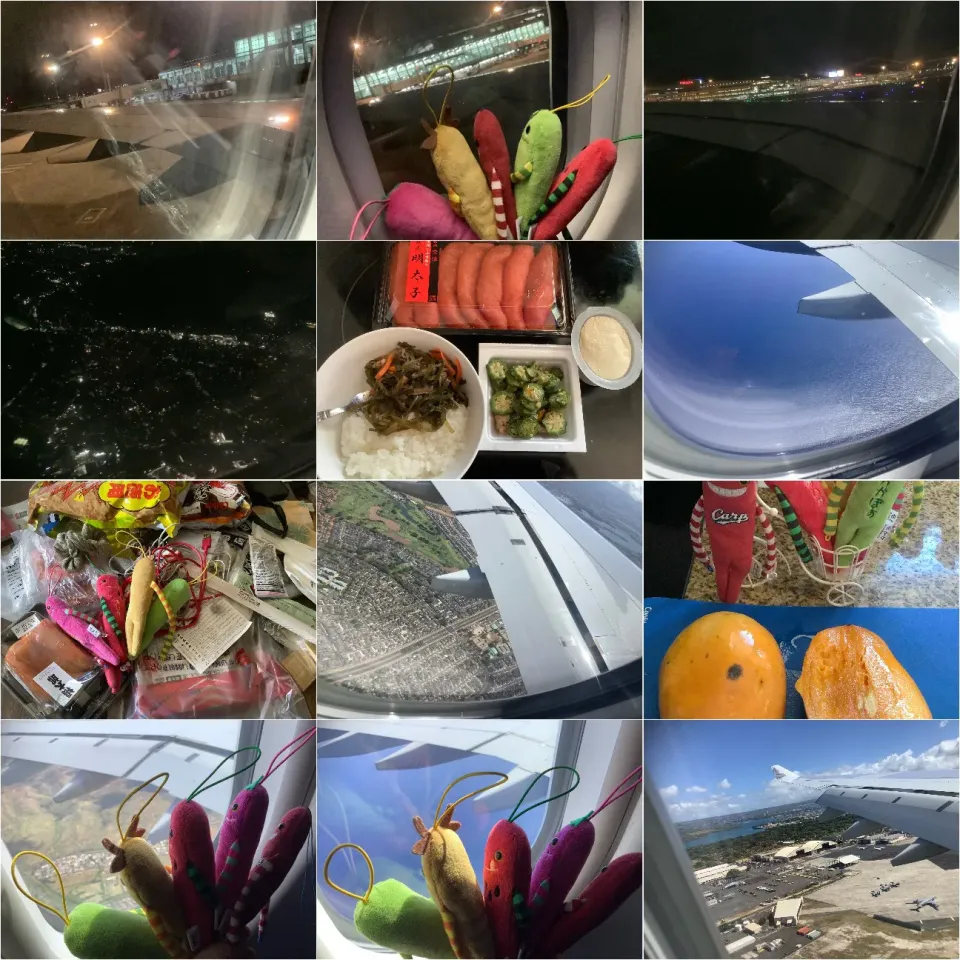 Snapdishの料理写真:✈️👋🍚🥭|🍁さん