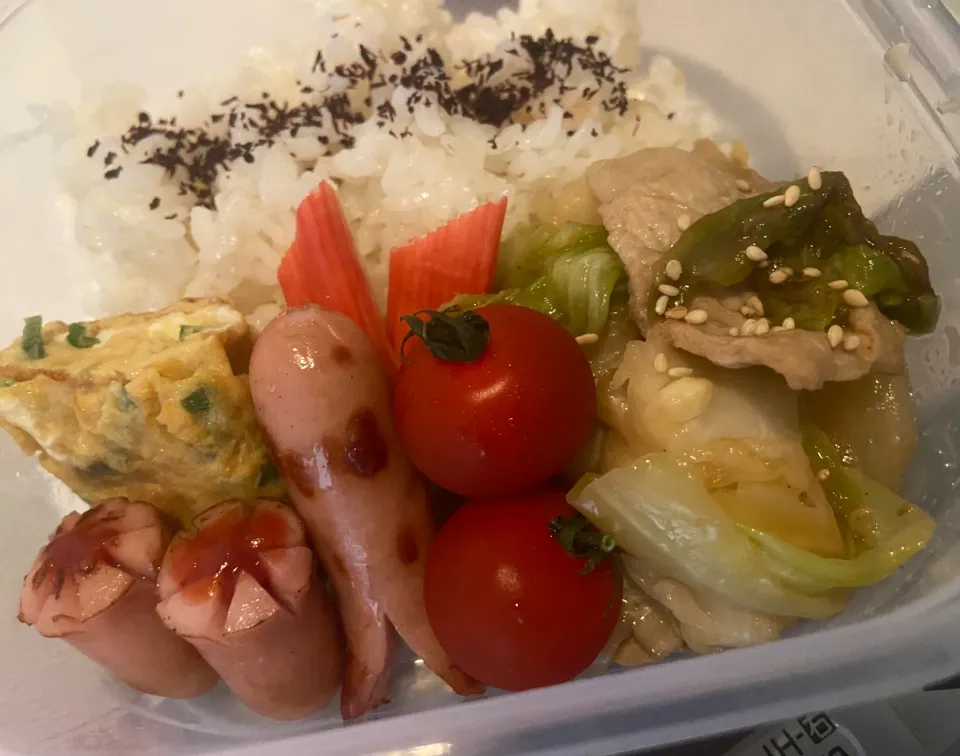 Snapdishの料理写真:いつかの旦那弁当|さちかさん