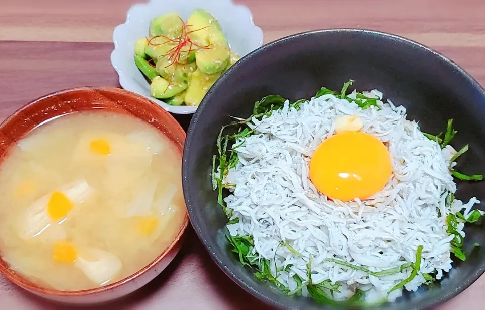 しらす丼|もぐぱくさん