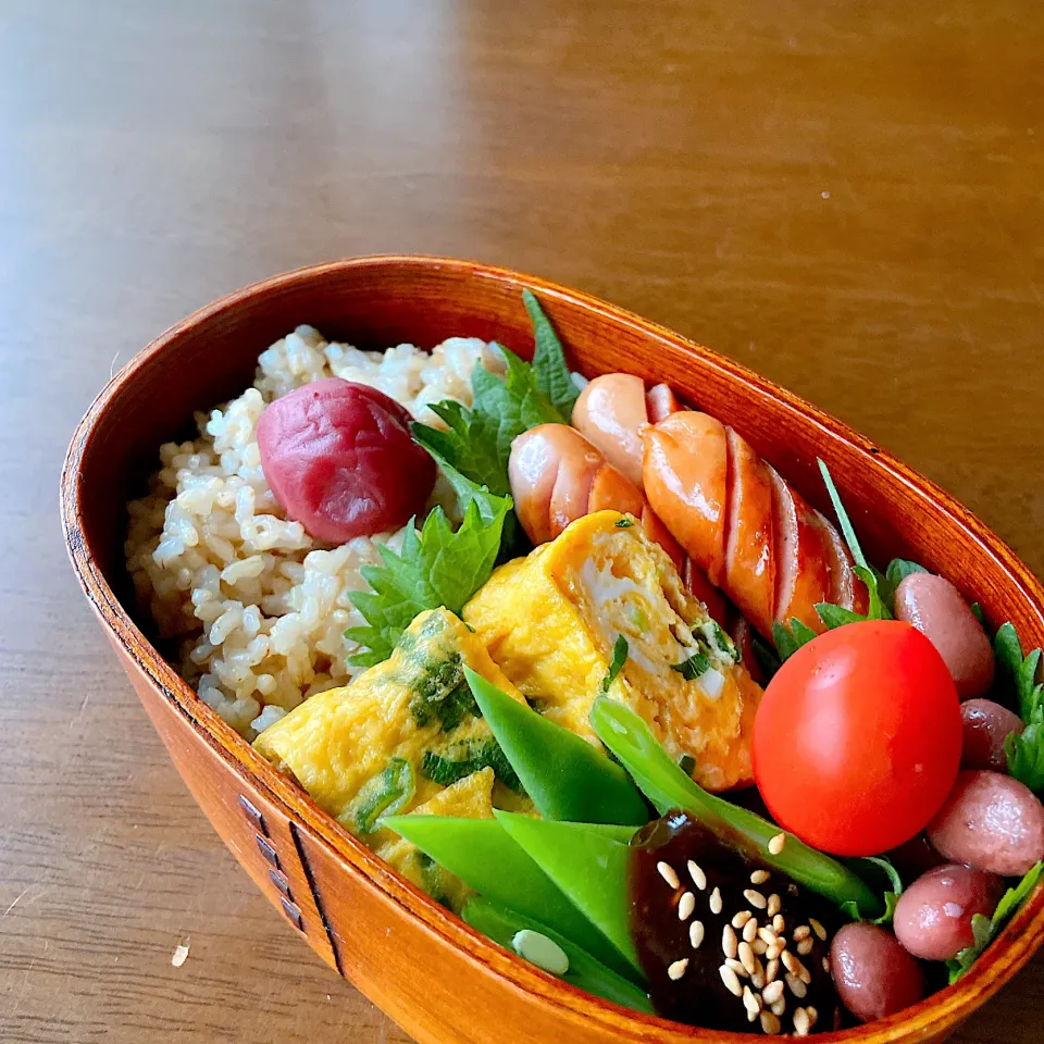 娘のお弁当|えこえこっちさん