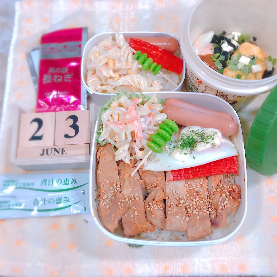 Snapdishの料理写真:お弁当記録🍀*゜2023.6.23|ぁゃ🍃さん