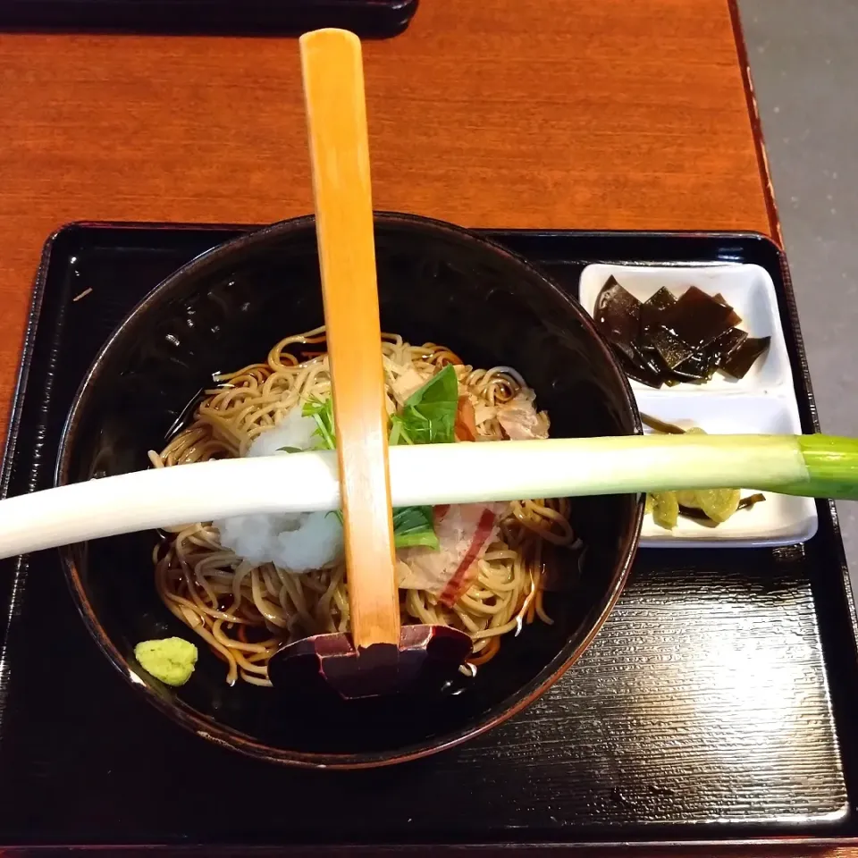 Snapdishの料理写真:大内宿名物のネギ蕎麦〜🥢〜お箸のかわりにネギで食べる👀|quitaさん