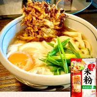 義務投稿②                                                     米粉1 : 小麦粉1 の「牛蒡かき揚げ・月見うどん」