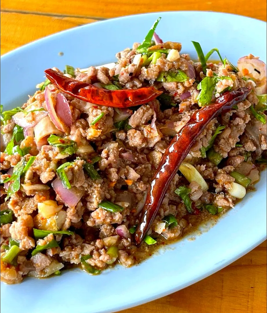 Northeastern Thai-Style Spicy Minced Duck Salad aka 'Larb Ped' (ลาบเป็ด) 🌶️🌶️🌶️🦆🤤|An'leeさん