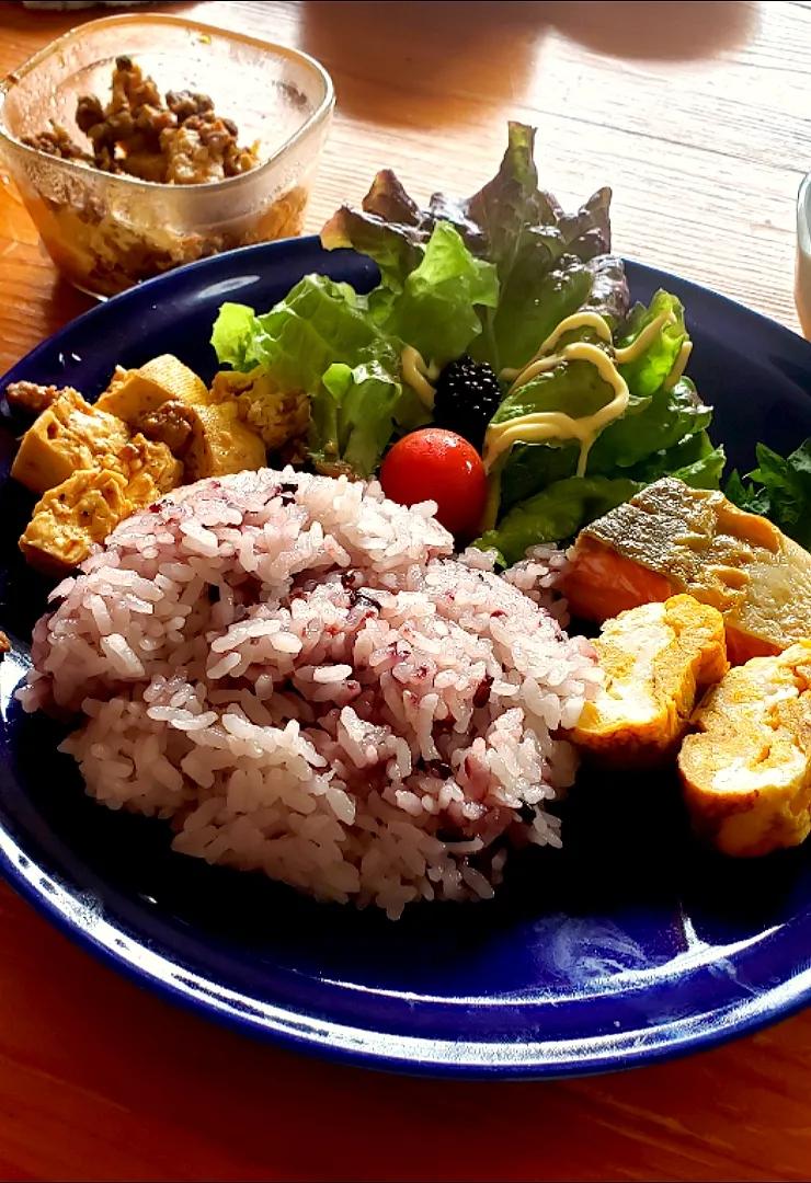 ワンプレート飯
鮭、麻婆豆腐、卵焼き、サラダ
雑穀飯|Yukiさん